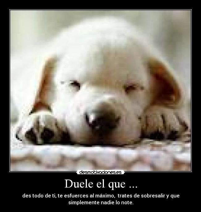 Duele el que ... - des todo de ti, te esfuerces al máximo, trates de sobresalir y que
simplemente nadie lo note.