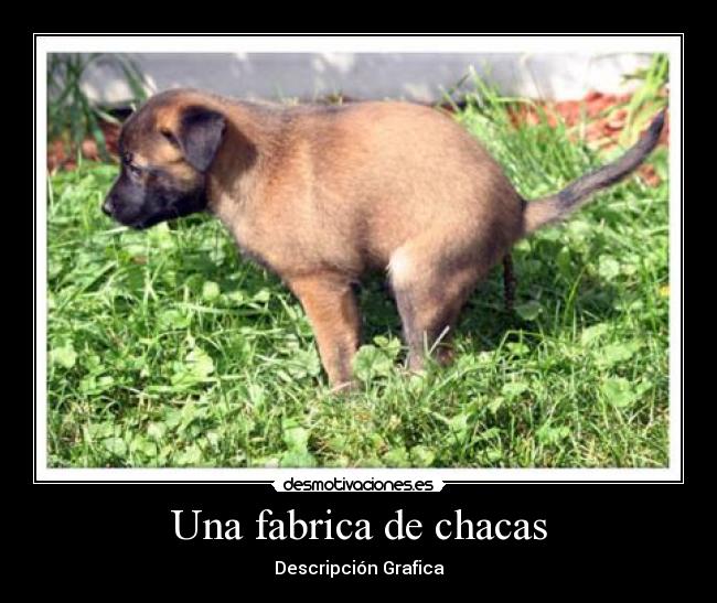 carteles fabrica chacas desmotivaciones