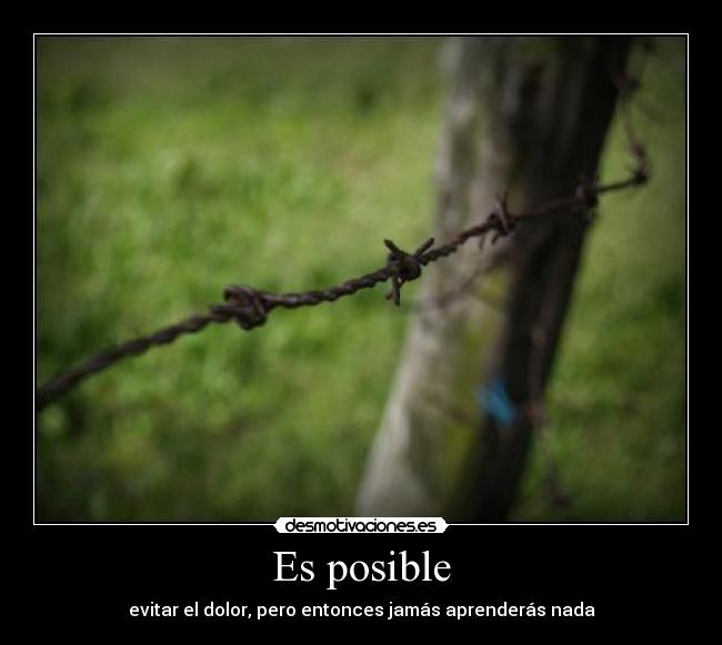 Es posible - evitar el dolor, pero entonces jamás aprenderás nada
