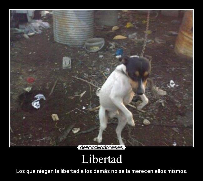 Libertad - 