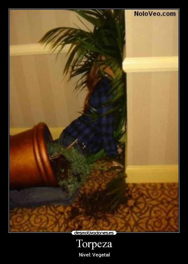 carteles alejandro555 desmotivaciones