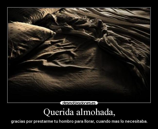 carteles querida almohada desmotivaciones