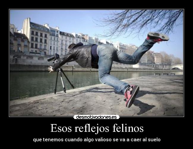 Esos reflejos felinos -