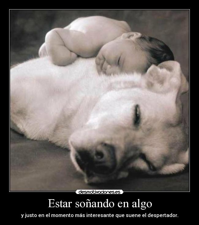 Estar soñando en algo - y justo en el momento más interesante que suene el despertador.