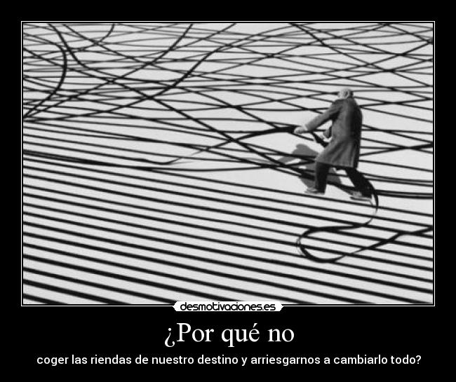 carteles alba selva ortiz desmotivaciones