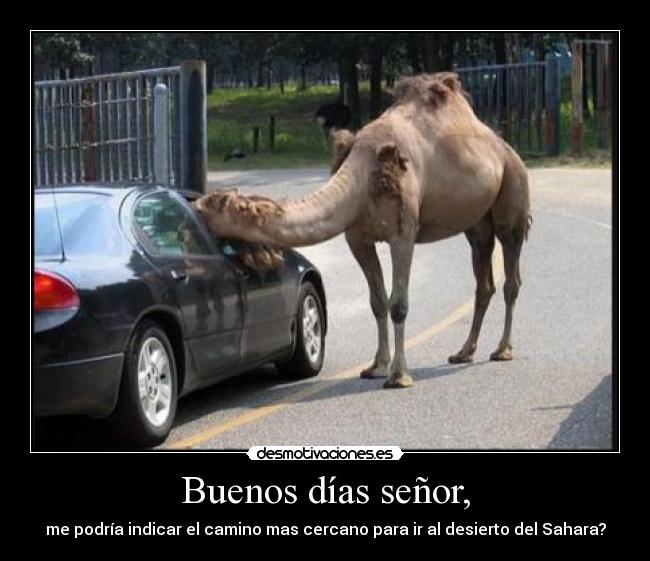 Buenos días señor, - me podría indicar el camino mas cercano para ir al desierto del Sahara?