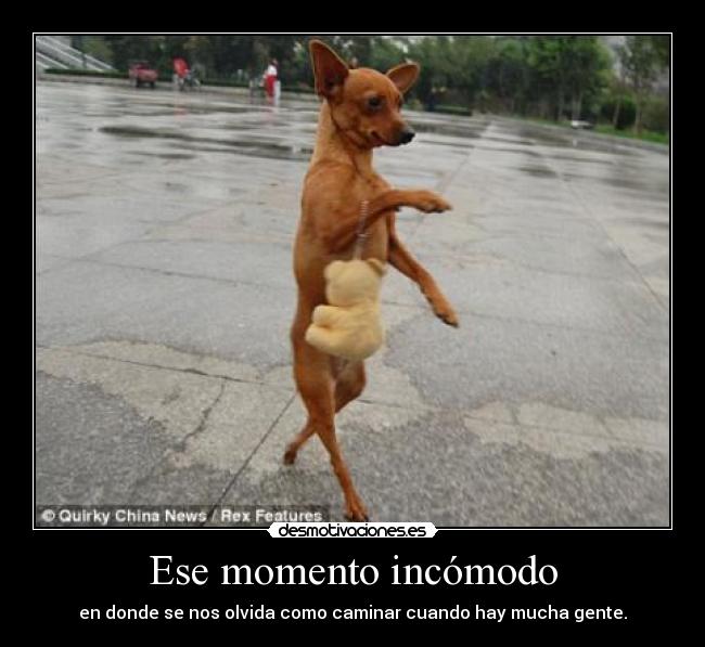 Ese momento incómodo - 