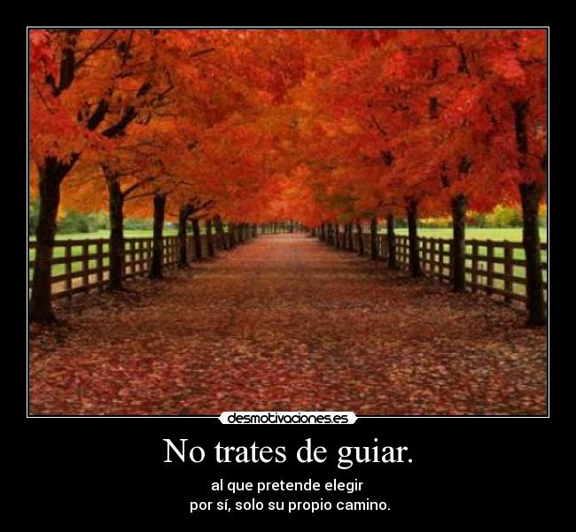 No trates de guiar. - al que pretende elegir
por sí, solo su propio camino.