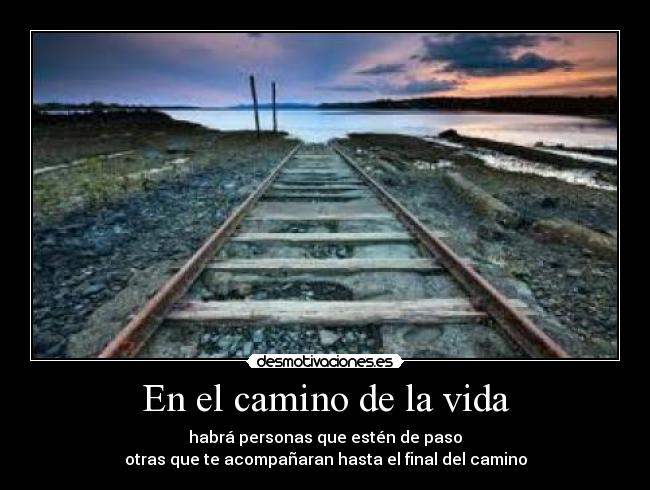 En el camino de la vida - 