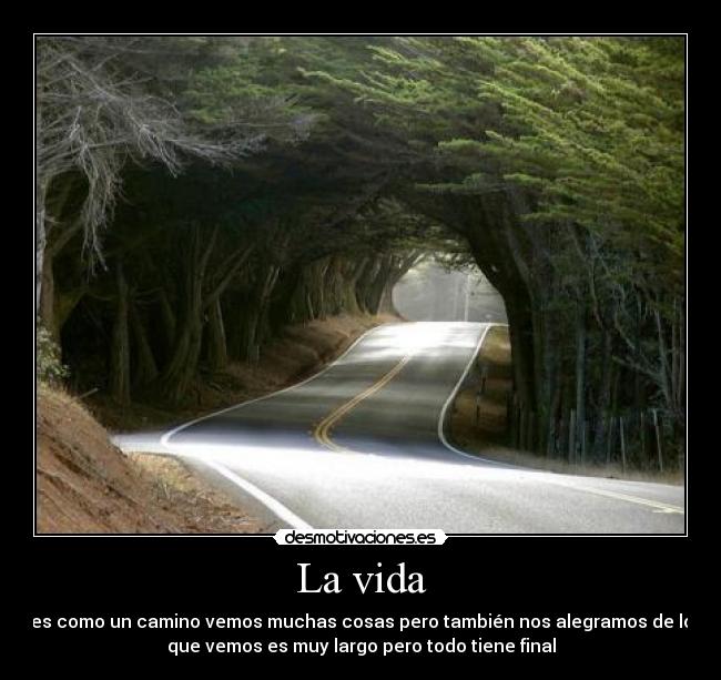 La vida - es como un camino vemos muchas cosas pero también nos alegramos de lo
que vemos es muy largo pero todo tiene final