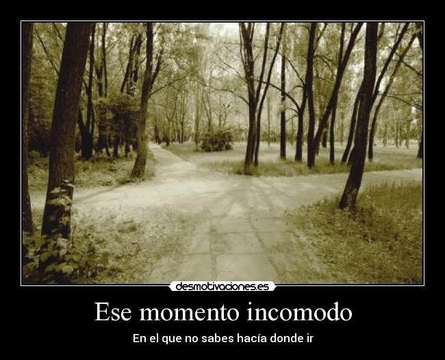 carteles caminos desmotivaciones