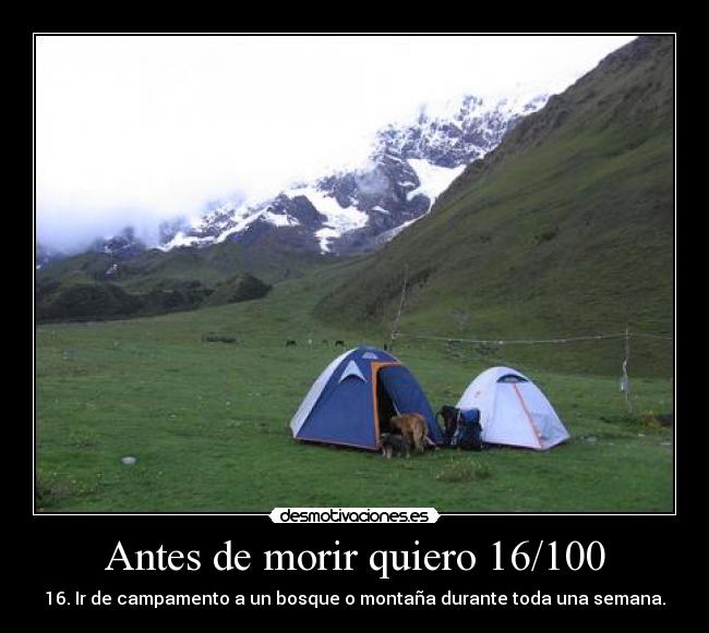 carteles hola desmotivaciones