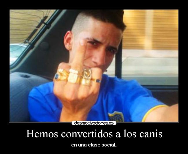 Hemos convertidos a los canis - en una clase social..