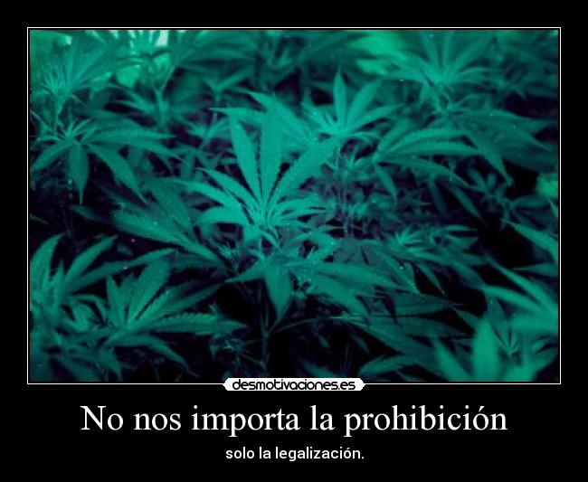 No nos importa la prohibición - solo la legalización.