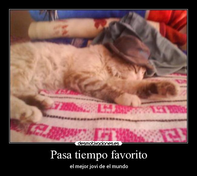 carteles yedid desmotivaciones