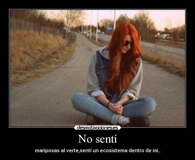No sentí - 
