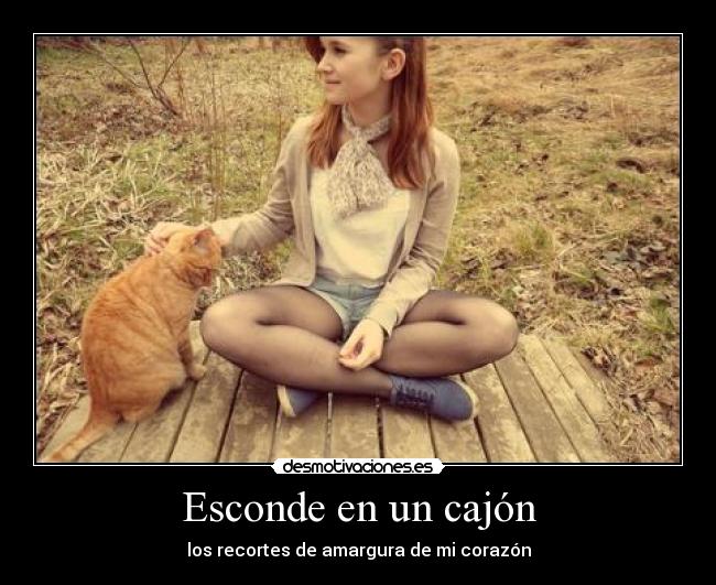 carteles amarrgura desmotivaciones