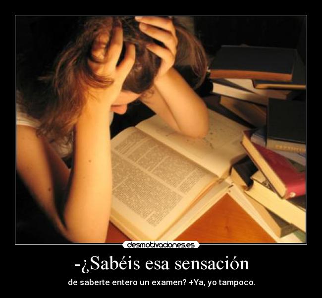 -¿Sabéis esa sensación - de saberte entero un examen? +Ya, yo tampoco.