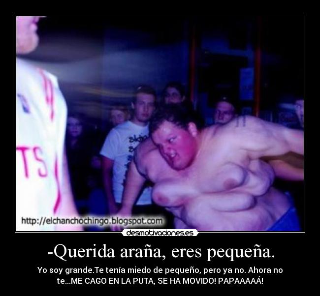 -Querida araña, eres pequeña. - Yo soy grande.Te tenía miedo de pequeño, pero ya no. Ahora no
te...ME CAGO EN LA PUTA, SE HA MOVIDO! PAPAAAAÁ!