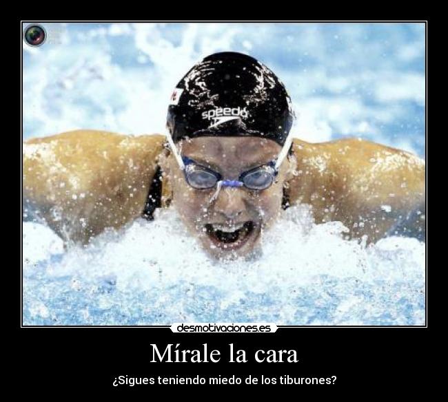 Mírale la cara - ¿Sigues teniendo miedo de los tiburones?