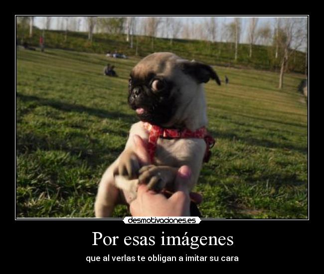 Por esas imágenes - 