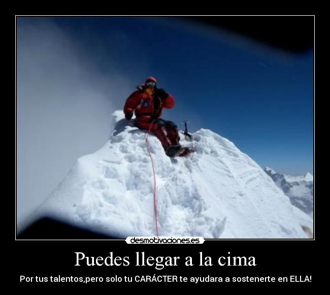 carteles caracter desmotivaciones