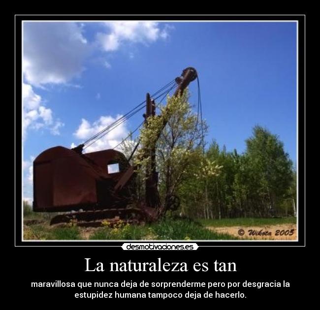 La naturaleza es tan - maravillosa que nunca deja de sorprenderme pero por desgracia la
estupidez humana tampoco deja de hacerlo.