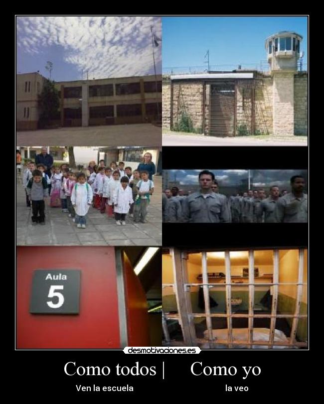 carteles escuela carcel estudiar desmotivaciones