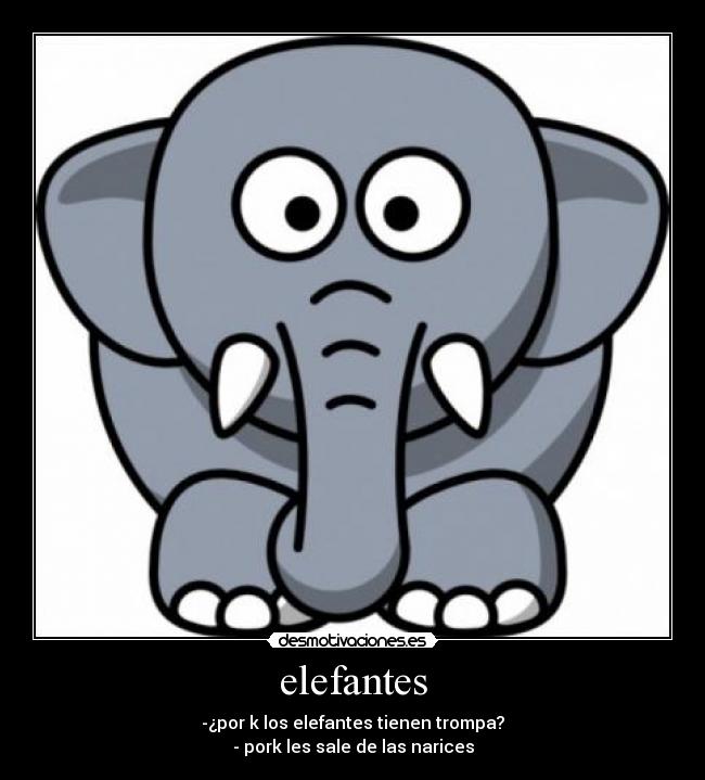 elefantes -