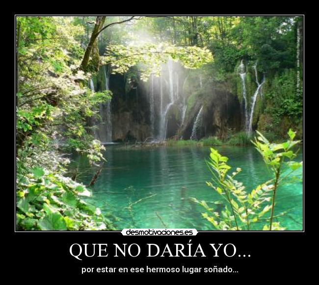 QUE NO DARÍA YO... -