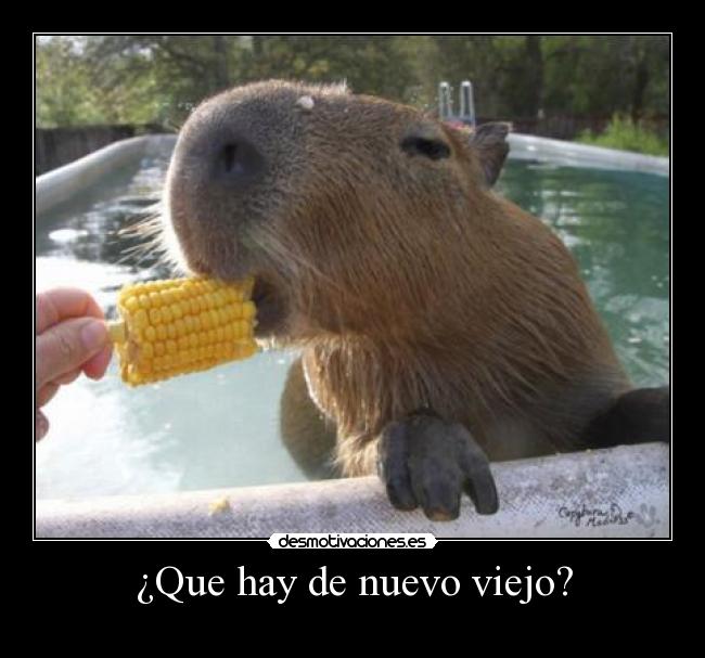 carteles sigueme twitter cuenta lgns desmotivaciones