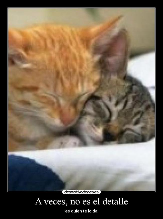 carteles detalle desmotivaciones