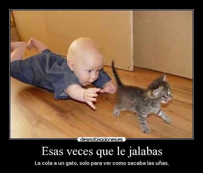 Esas veces que le jalabas - La cola a un gato, solo para ver como sacaba las uñas.