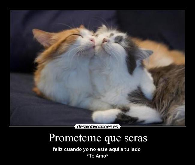 Prometeme que seras - feliz cuando yo no este aqui a tu lado
*Te Amo*