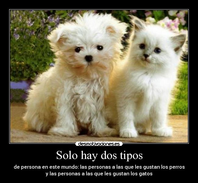 Solo hay dos tipos -