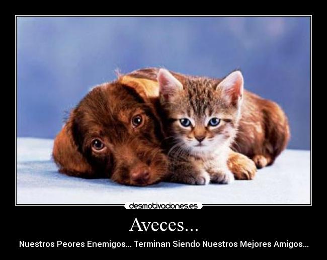 Aveces... - Nuestros Peores Enemigos... Terminan Siendo Nuestros Mejores Amigos...