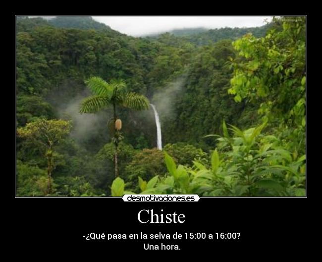 Chiste - -¿Qué pasa en la selva de 15:00 a 16:00?
Una hora.