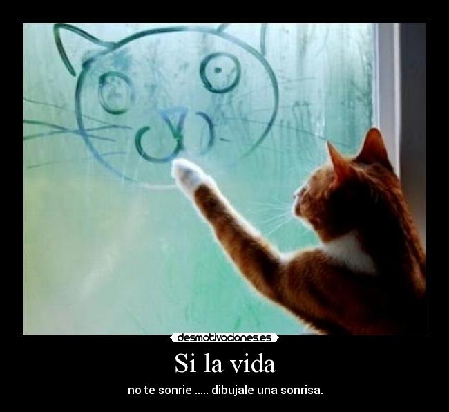 Si la vida - 