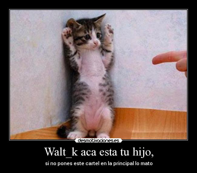 Walt_k aca esta tu hijo, -