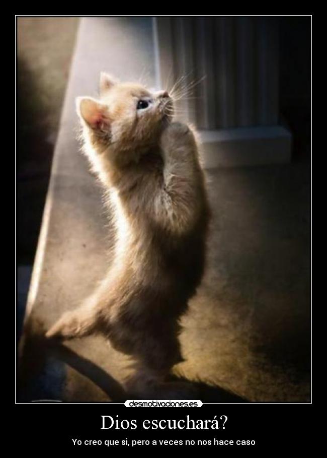 Dios escuchará? - 