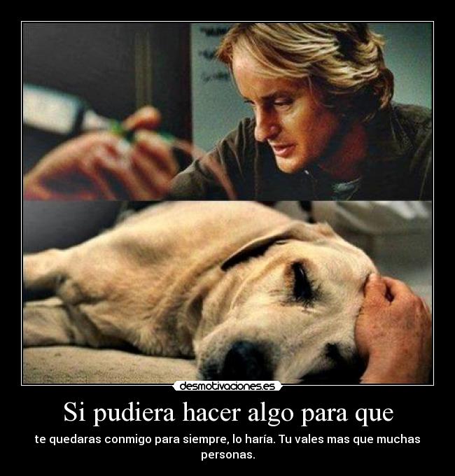 Si pudiera hacer algo para que - te quedaras conmigo para siempre, lo haría. Tu vales mas que muchas personas.