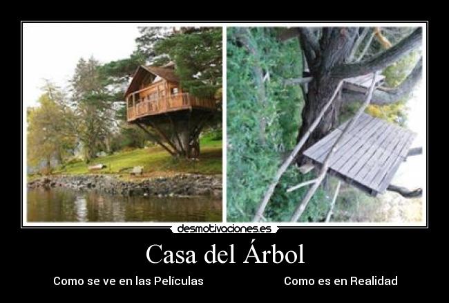 Casa del Árbol - 