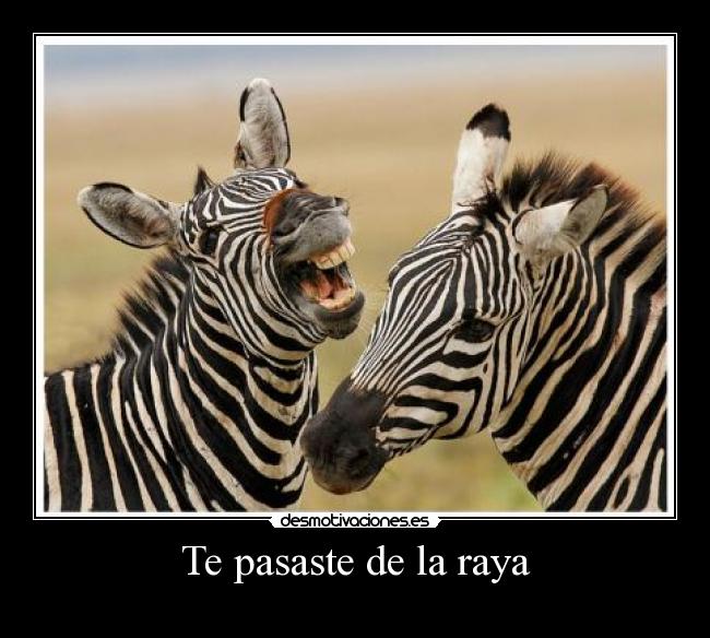 Te pasaste de la raya -