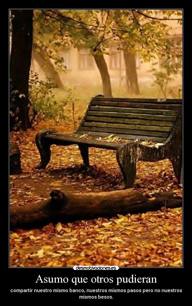 Asumo que otros pudieran - 