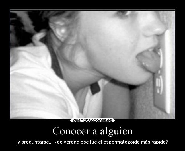 carteles estupidez desmotivaciones