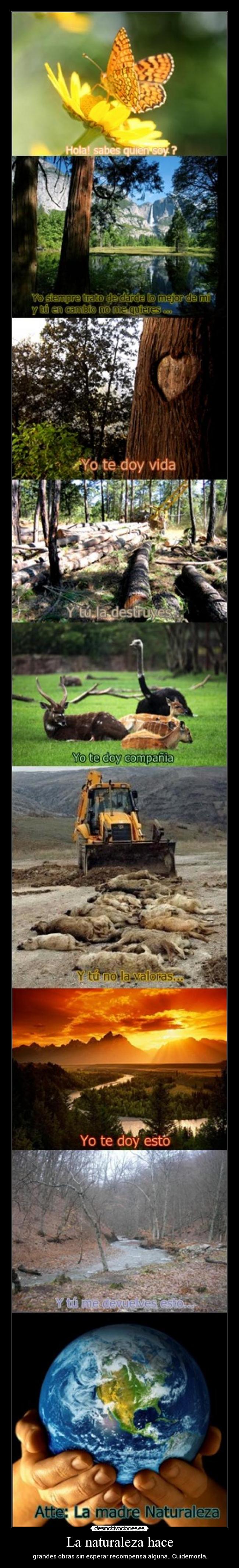 La naturaleza hace -