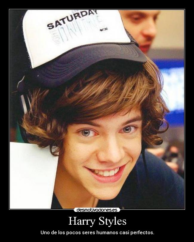 Harry Styles - Uno de los pocos seres humanos casi perfectos.