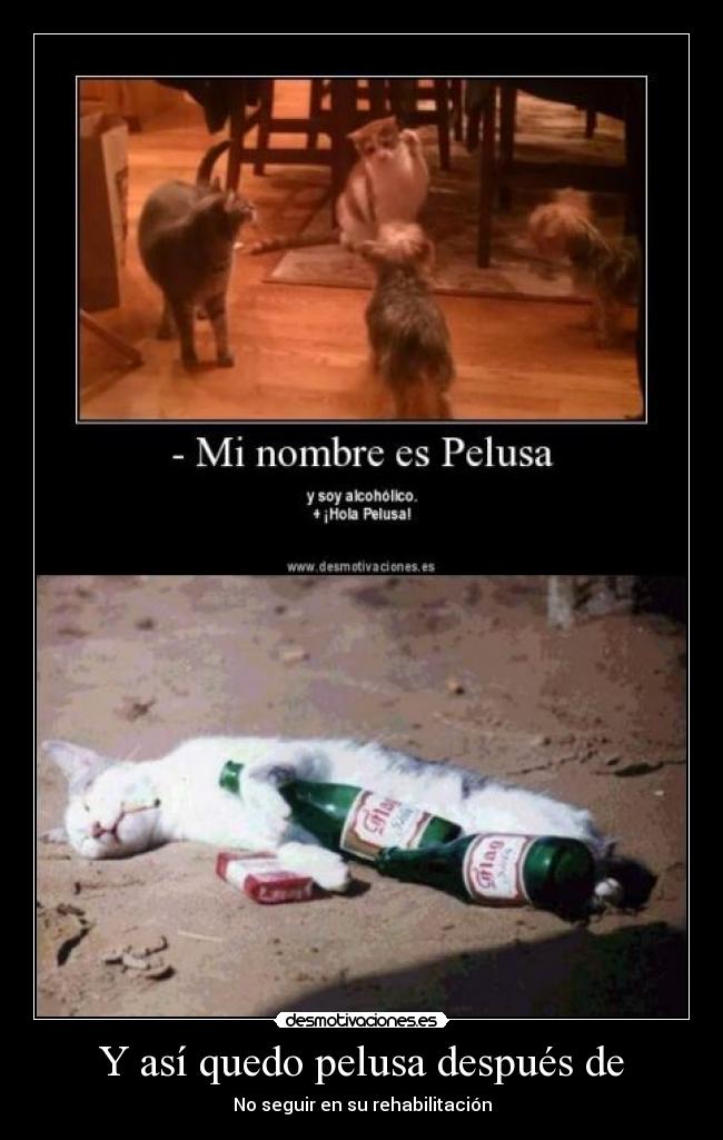 Y así quedo pelusa después de - No seguir en su rehabilitación
