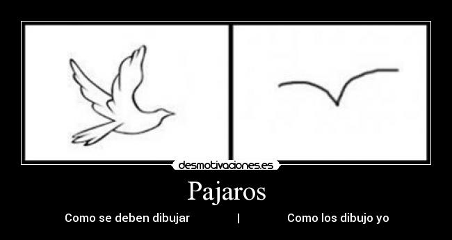 Pajaros - 