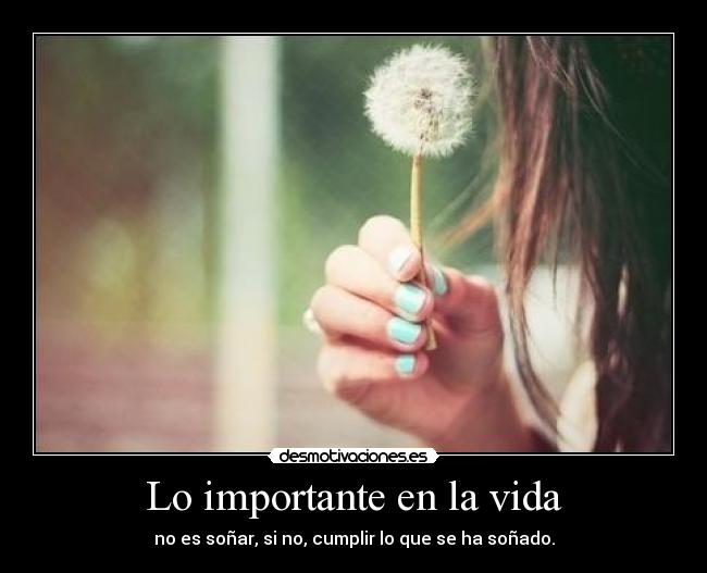 Lo importante en la vida - 